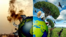 Vietnam to host the 6th Global Environment Fund