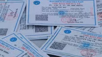 More than 17 million students have health insurance cards