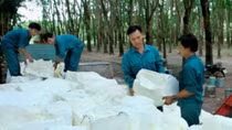 Rubber needs consistent quality
