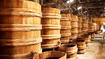 Ministry of Health: Tests confirm 100% fish sauce brands are safe