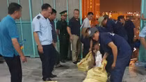 Half a ton of African ivory seized at Vietnam port