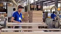 Wood industry sees promise of growth in CPTPP