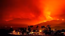 California wildfires kill at least 31 as wind continues to fan flames