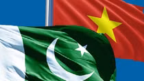 Vietnam, Pakistan hold second political consultation