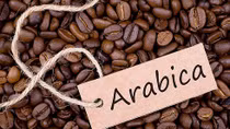 Arabica coffee prices set to enjoy bounce back in 2020
