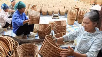 Vietnam ranks high in Human Development Index