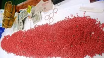 Drug dealer arrested in the act of carrying nearly 6,000 drug pills