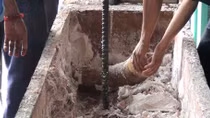 Half a ton of ivory seized at seaport