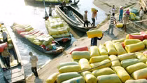 Agroviet 2016 gets underway in Hanoi