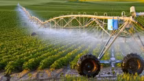 Vietnam, Australia bolstering agricultural cooperation