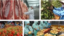 New-generation FTAs pin hopes on future agricultural growth