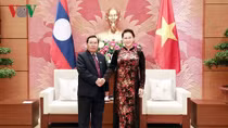 Top Vietnamese legislator wishes for stronger parliamentary ties with Laos