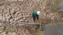 Mekong Delta takes measures against saltwater intrusion