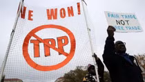 Trump says will quit TPP trade pact on day one of presidency