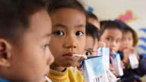 Cheese, yoghurt, seed milk introduced in school milk programme