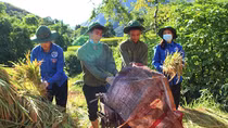 People Security Academy’s youths help Yen Bai’s locals overcome flood consequences
