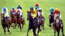Korean corp. announces plans for Bac Ninh racetrack