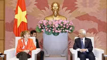 German parliament Vice President supports ratification of EVFTA