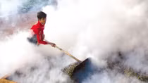 Competition in farm-material growing areas heats up
