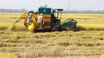 Credit package for hi-tech agriculture hoped to become fruitful