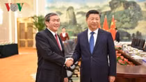 Vietnam treasures ties with China: Politburo member