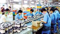 Lawmakers adopt Law on Support for SMEs