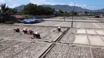 ADB project to improve argricultural productivity in Vietnam