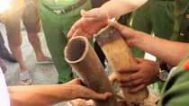 Vietnam seizes 10 tons of pangolin scales, ivory shipped from Africa