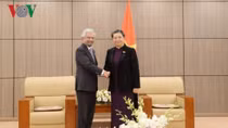 UN pledges to support Vietnam in multiple fields