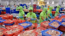 Vietnam works to reinforce relations with EU
