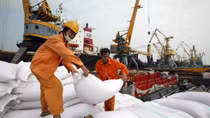 Rice exports set to pick up in Q1 2019