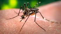 US issues Zika travel warning for Southeast Asian countries
