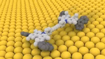 Nobel Prize in chemistry is awarded for molecular machines