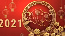 Happy Lunar New Year 2021 - Year of the Buffalo