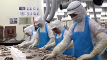 5,112 Chinese workers in Vietnam put into quarantine for COVID19 monitoring