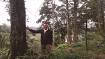 Man spends years to grow forest