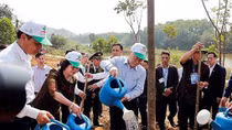 Party, State leader launches Tet tree planting festival in Yen Bai