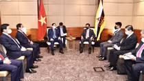 Vietnam, Brunei to expand all-round cooperation