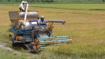 Sustainable agriculture development in ASEAN integration