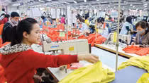 Entrepreneurs are the pillar of the Vietnam economy