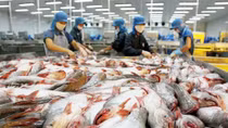 Ministry to set “tra” fish standards