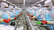 Shrimp exporters eye over US$4 billion in export in 2021