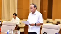 Deputy Minister Le Quy Vuong briefs NA deputies on fight against crimes