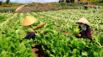 Vietnam boasts huge potential for green growth