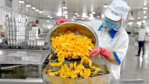 First-half GDP growth for Vietnam projected at 5.8%