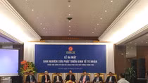 Vietnam's private economic development board introduced