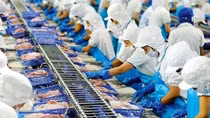 Aquatic product exports in Q1 predicted to hit 1.64 bln USD