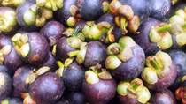 Mangosteen hit US and Australian supermarket shelves