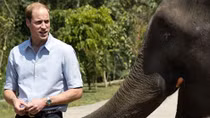 Prince William visits Vietnam for wildlife conservation