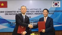 Vietnam, RoK look towards US$100 bln trade by 2020